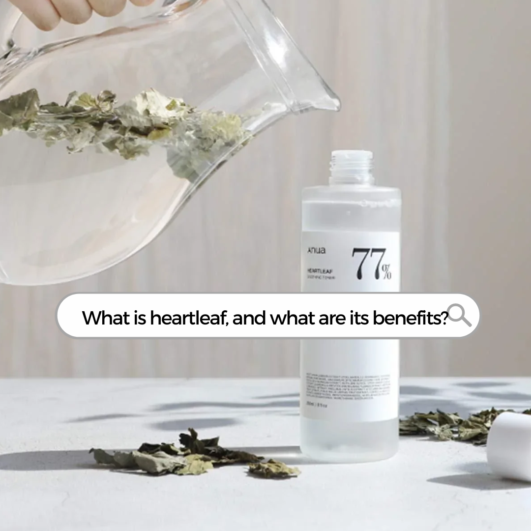 The Benefits of Heartleaf Extract in Your Skincare Routine🌿