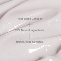 [Mizon] Phyto Plump Collagen Night Cream 50ml